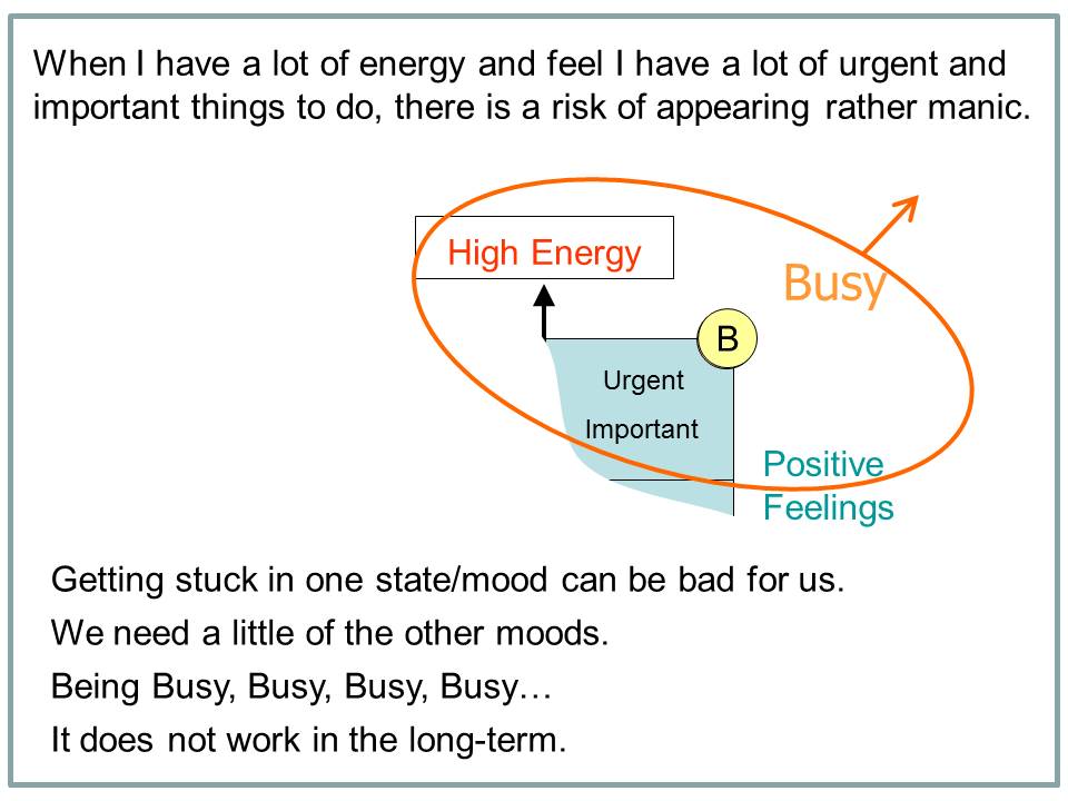 How I Beat Bipolar - example slide
