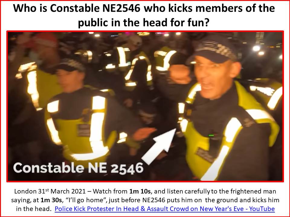 Constable NE2546 who kicks members of the public in the head for fun